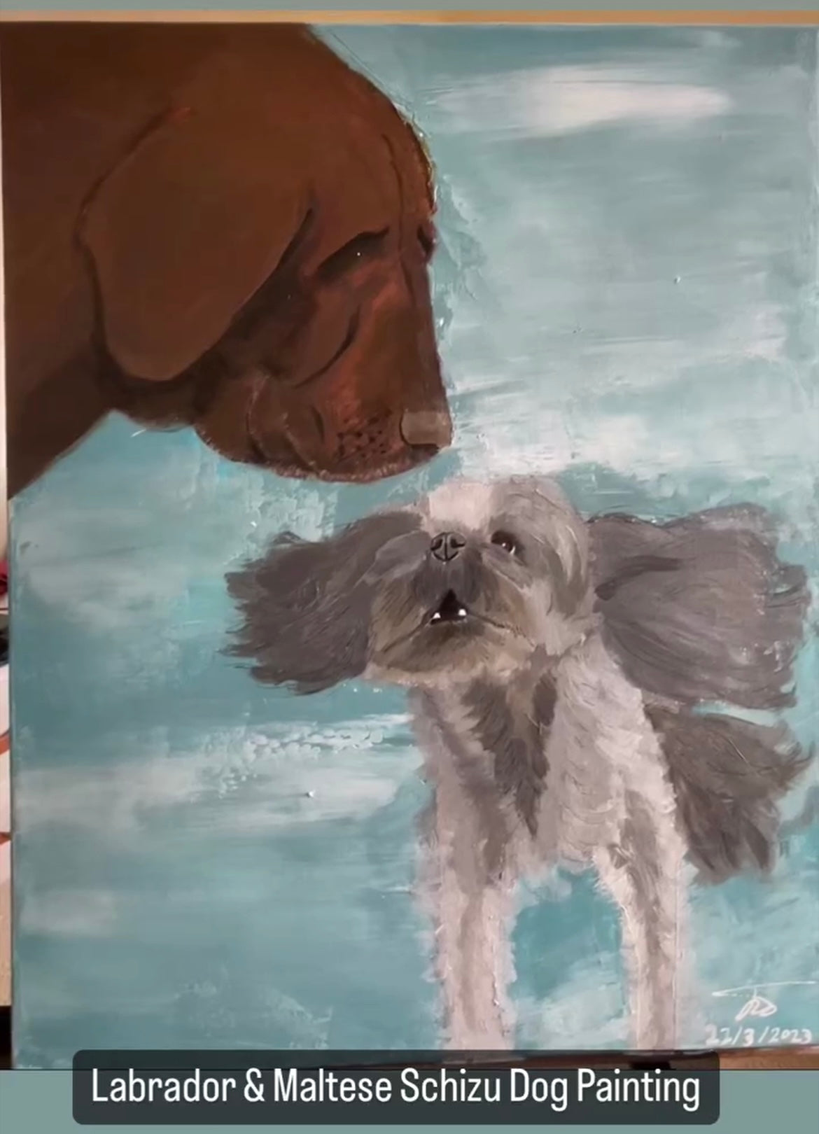 Chocolate Labrador and Maltese Schitzu Dogs